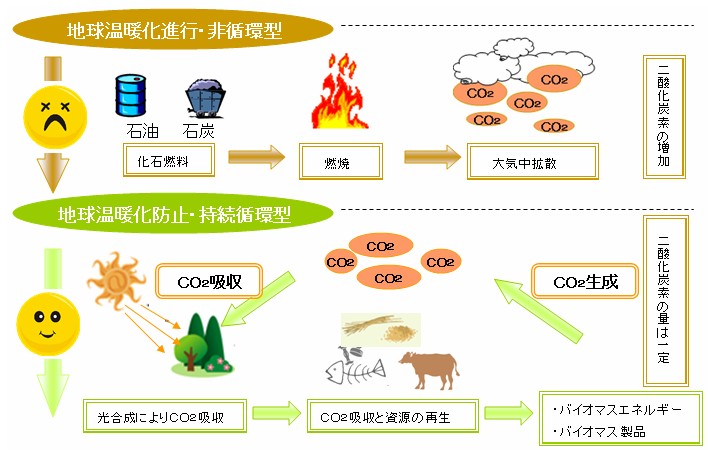 人気商品！ 「地球環境シリーズ バイオエネルギー再燃」 総合地球環境